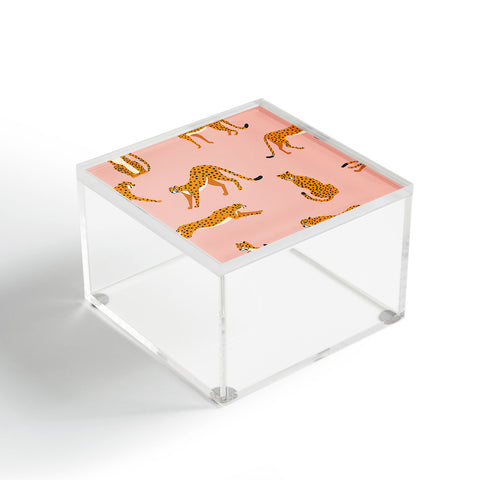BlueLela Cheetahs pattern on pink Acrylic Box