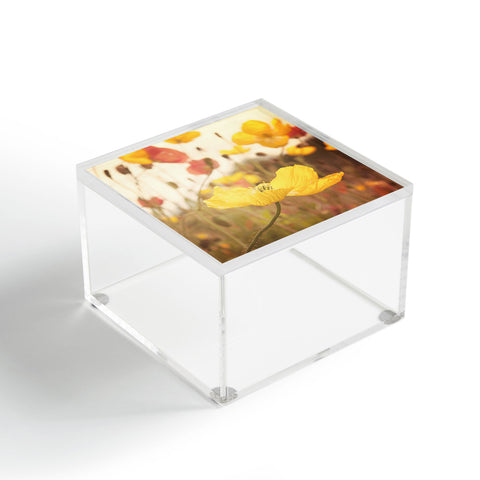 Bree Madden Boho Spring Acrylic Box