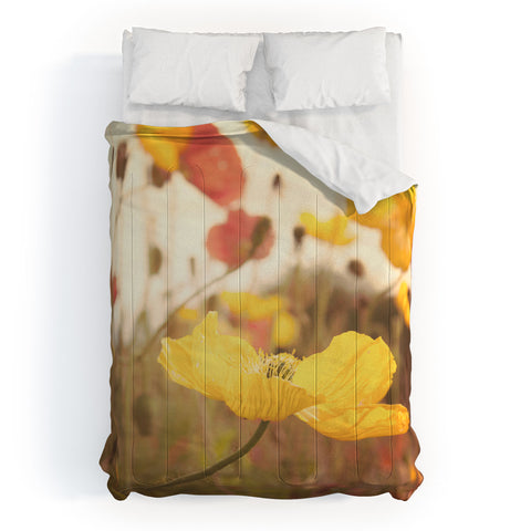 Bree Madden Boho Spring Comforter