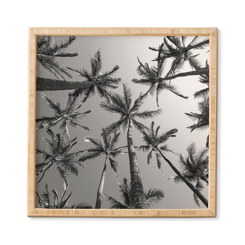 Bree Madden BW Palms Framed Wall Art