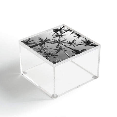 Bree Madden BW Palms Acrylic Box