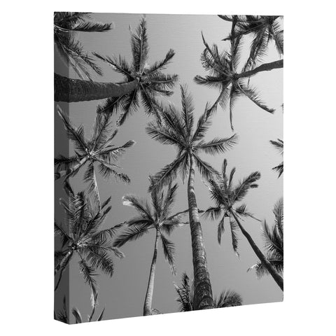 Bree Madden BW Palms Art Canvas