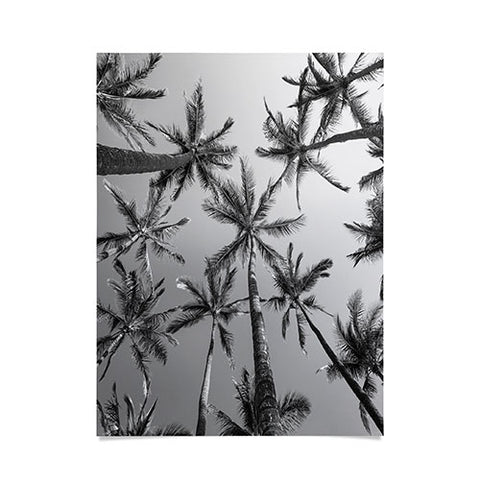 Bree Madden BW Palms Poster