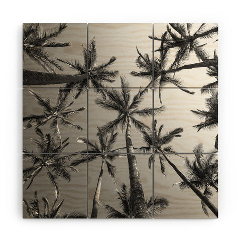 Bree Madden BW Palms Wood Wall Mural