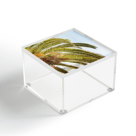 Bree Madden Cali Palm Acrylic Box