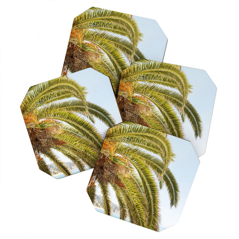 Bree Madden Cali Palm Coaster Set