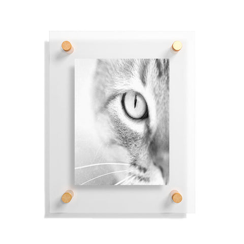 Bree Madden Cats Eye Floating Acrylic Print
