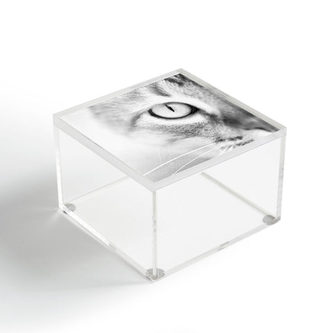 Bree Madden Cats Eye Acrylic Box