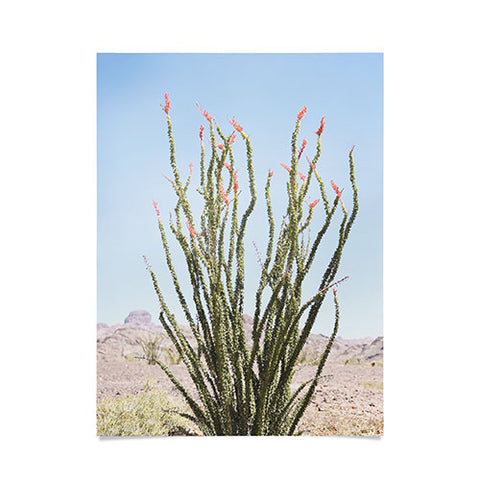 Bree Madden Desert Flower Poster