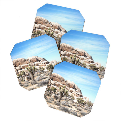 Bree Madden Desert Land Coaster Set