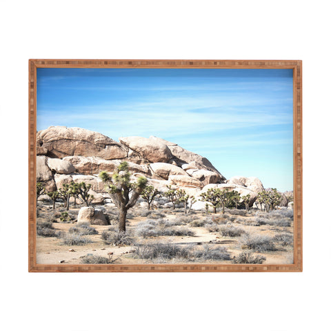 Bree Madden Desert Land Rectangular Tray