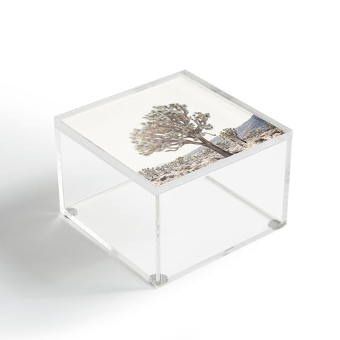 Bree Madden Desert Light Acrylic Box