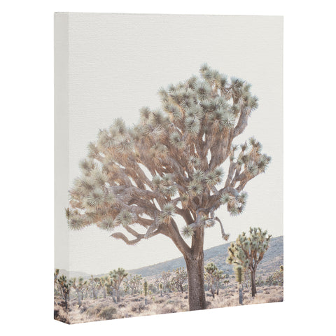 Bree Madden Desert Light Art Canvas