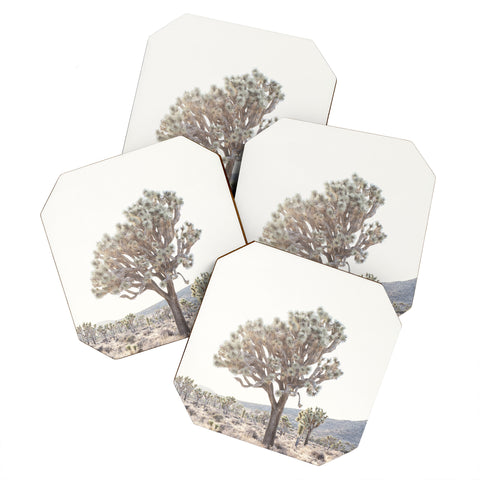 Bree Madden Desert Light Coaster Set
