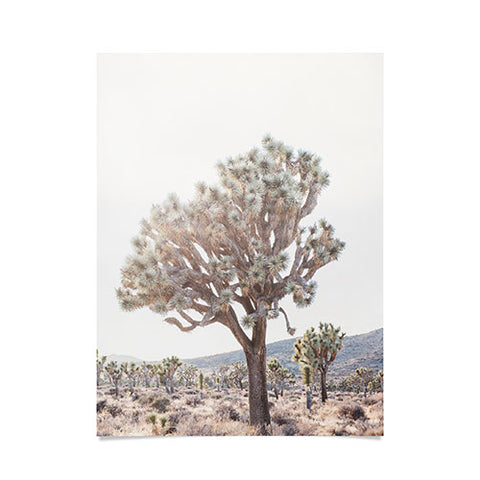Bree Madden Desert Light Poster