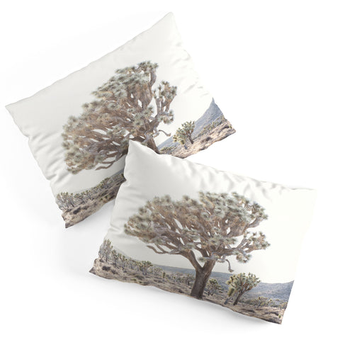 Bree Madden Desert Light Pillow Shams