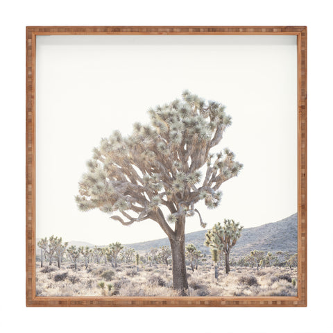 Bree Madden Desert Light Square Tray