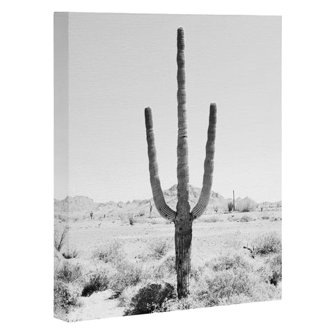 Bree Madden Desert Times Art Canvas