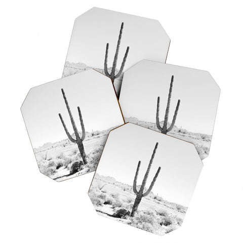 Bree Madden Desert Times Coaster Set