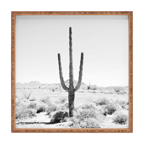 Bree Madden Desert Times Square Tray