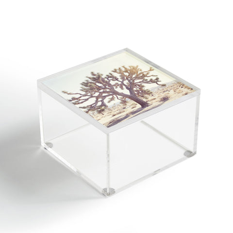 Bree Madden Desert Wonders Acrylic Box
