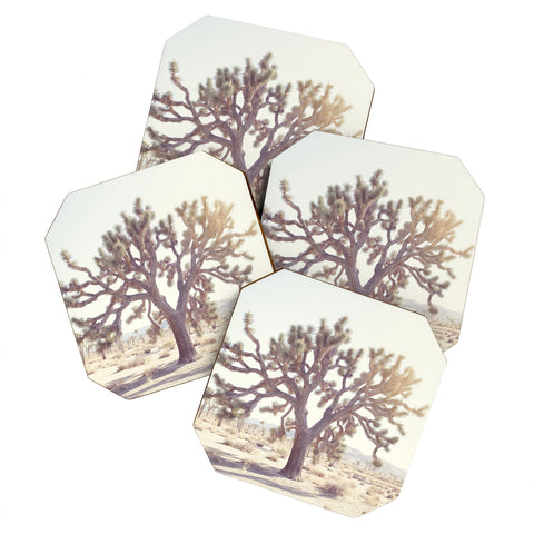 Bree Madden Desert Wonders Coaster Set