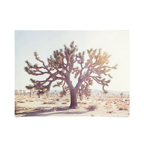 Bree Madden Desert Wonders Poster