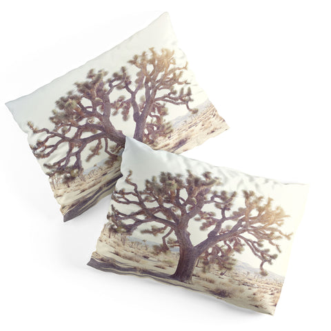Bree Madden Desert Wonders Pillow Shams