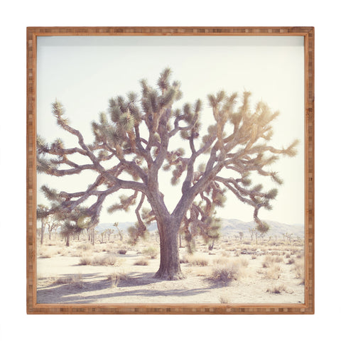 Bree Madden Desert Wonders Square Tray