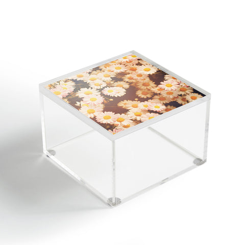 Bree Madden Faded Daisy Acrylic Box