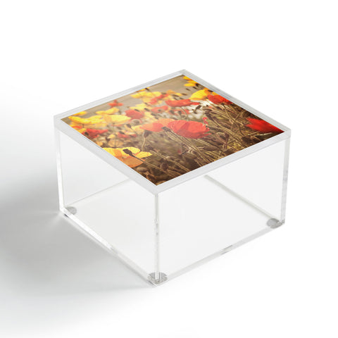 Bree Madden Fading Beauty Acrylic Box