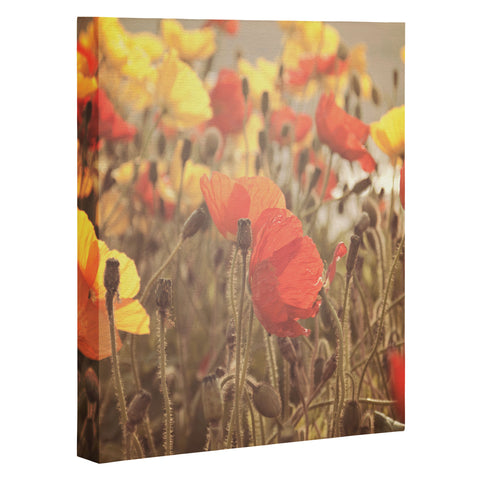 Bree Madden Fading Beauty Art Canvas