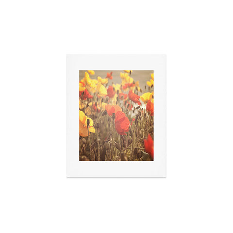 Bree Madden Fading Beauty Art Print