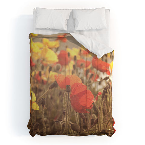 Bree Madden Fading Beauty Comforter