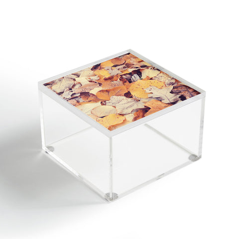 Bree Madden Fallen Leaves Acrylic Box