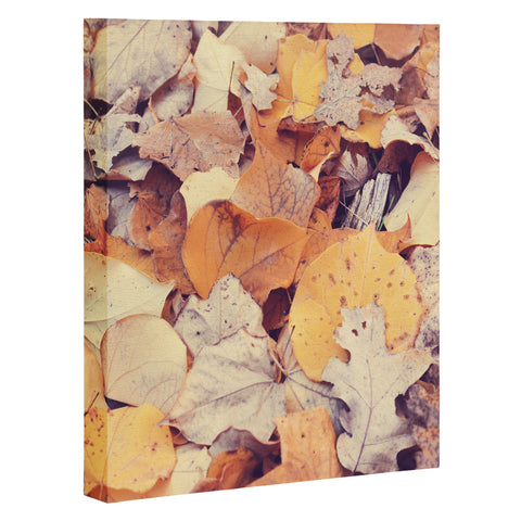 Bree Madden Fallen Leaves Art Canvas