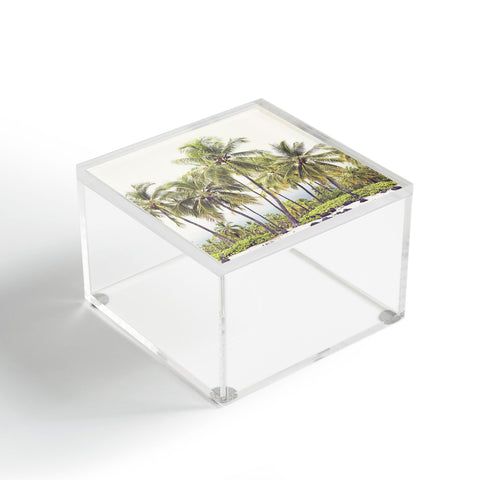Bree Madden Hawaii Palm Acrylic Box