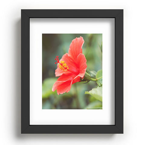 Bree Madden Hibiscus Recessed Framing Rectangle
