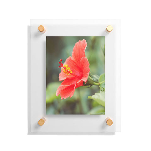 Bree Madden Hibiscus Floating Acrylic Print