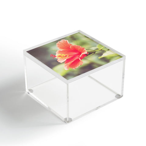 Bree Madden Hibiscus Acrylic Box
