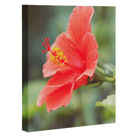 Bree Madden Hibiscus Art Canvas