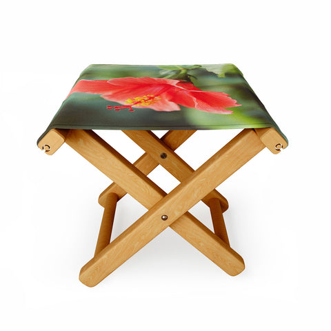 Bree Madden Hibiscus Folding Stool