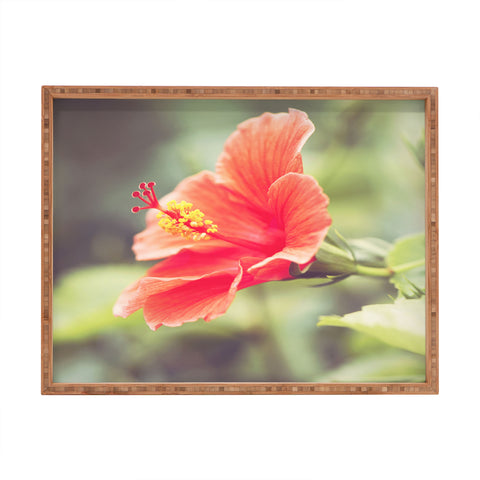 Bree Madden Hibiscus Rectangular Tray