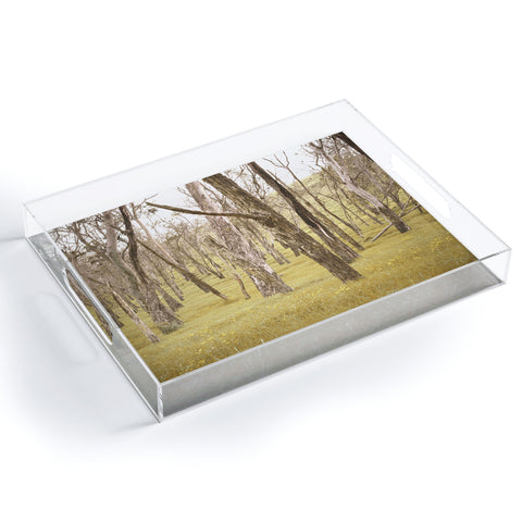 Bree Madden In The Trees Acrylic Tray
