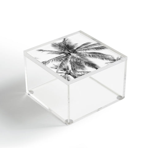 Bree Madden Island Palm Acrylic Box