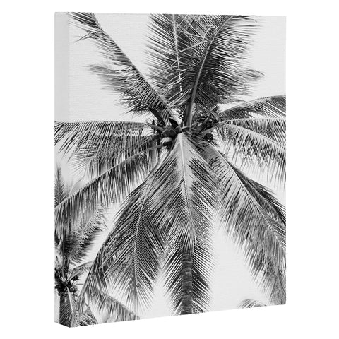 Bree Madden Island Palm Art Canvas