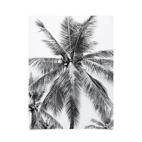 Bree Madden Island Palm Poster