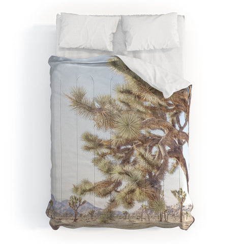 Bree Madden Joshua Comforter