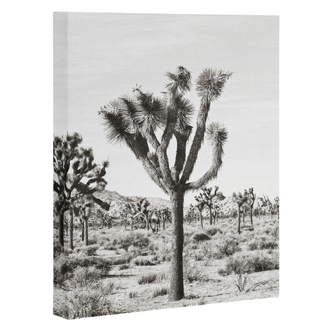 Bree Madden Joshua Trees Art Canvas