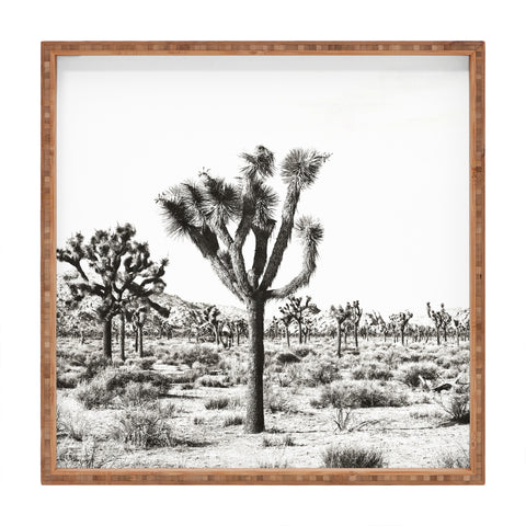 Bree Madden Joshua Trees Square Tray